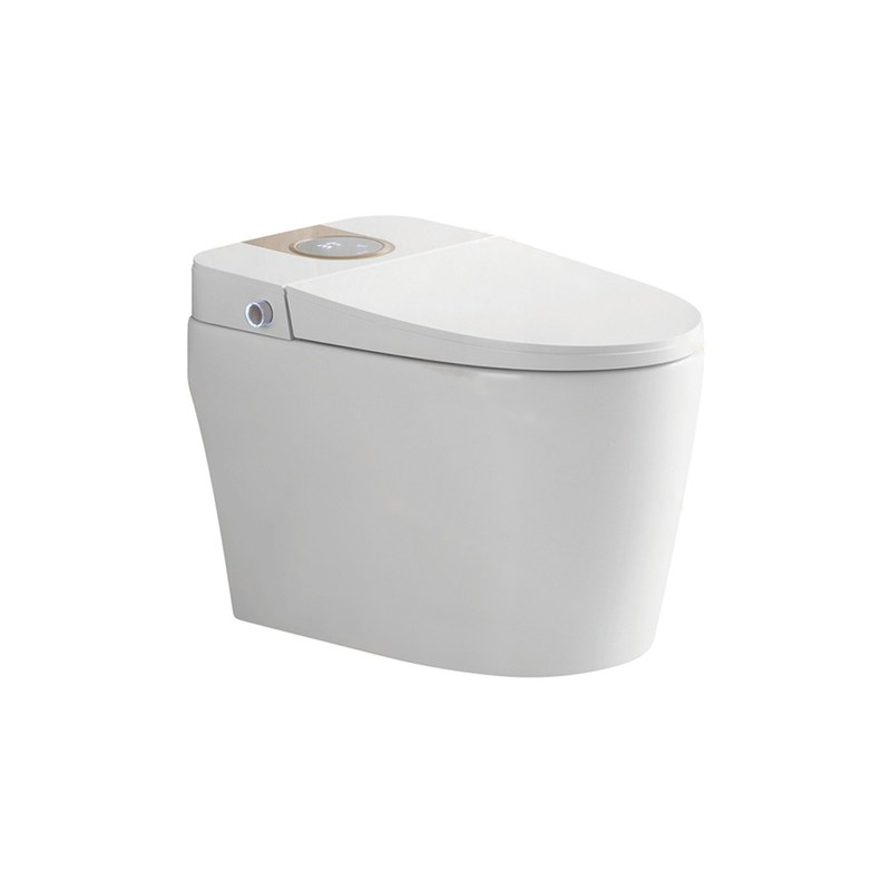 LT-TO-1010-WD-WPG white smart-toilets