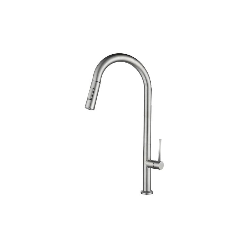 LT-10097-SS-TCCLSSCLRLT kitchen faucet, kitchen mixer tap, sink faucet