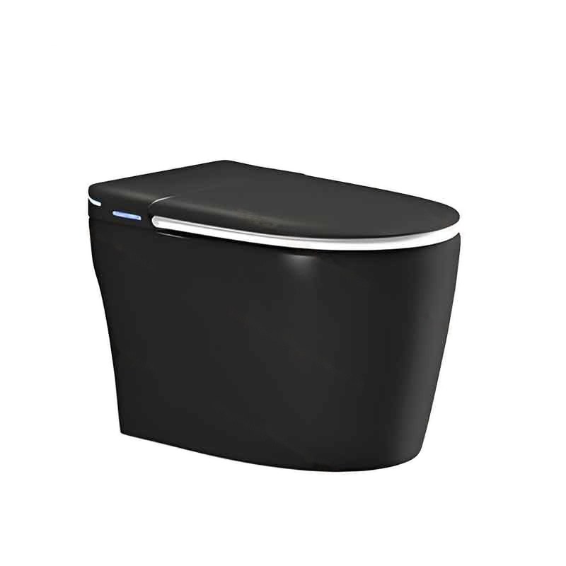 LT-TO-1110-WC-BL black smart-toilets