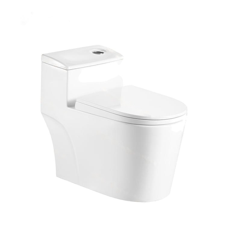 LT-1074 white one-piece-toilets