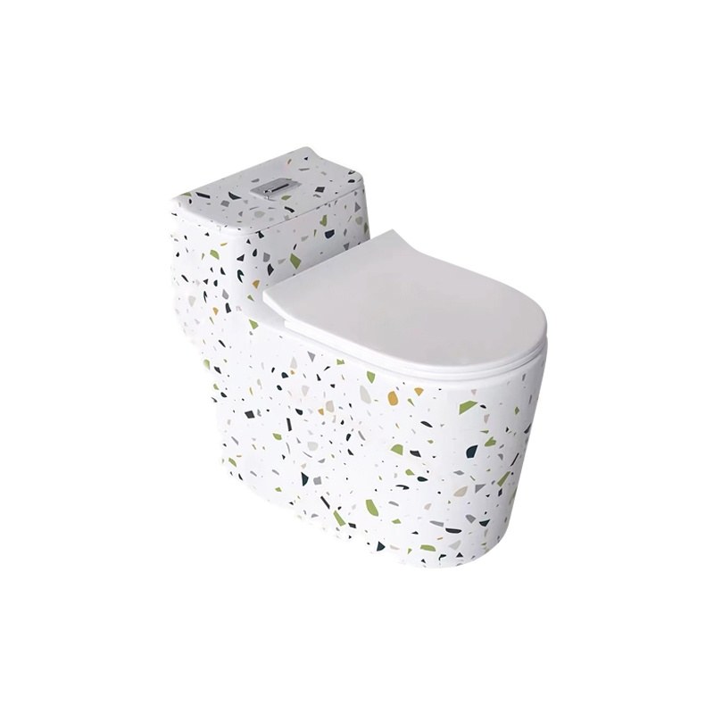 LT-1124-DP-CT1 patterned one-piece-toilets