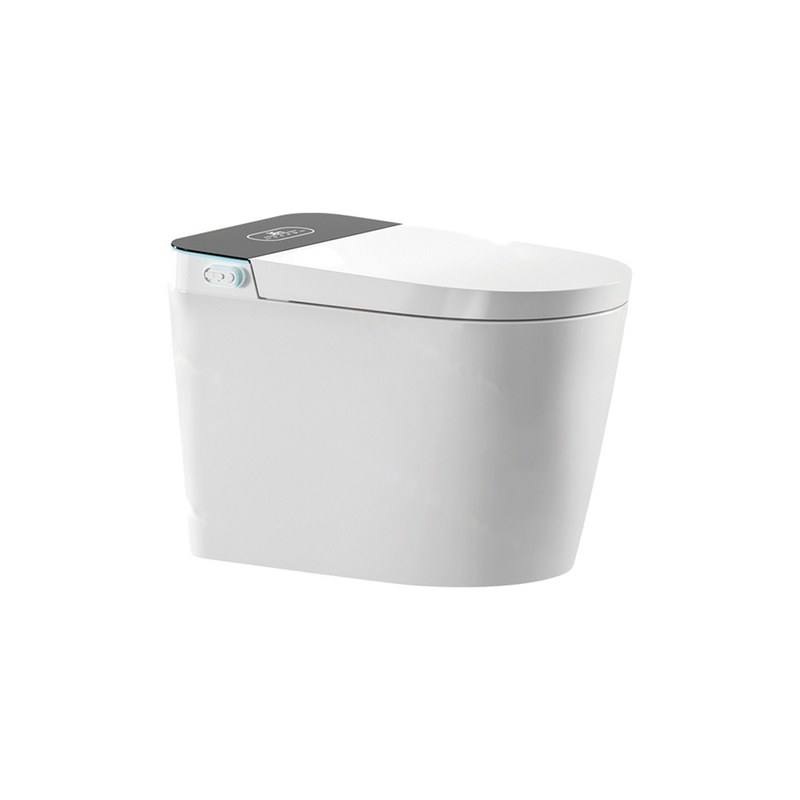 LT-TO-1070-WD-BL white smart-toilets