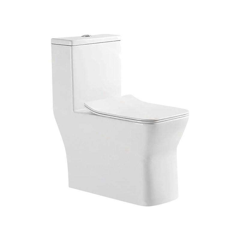 LT-1157 white one-piece-toilets
