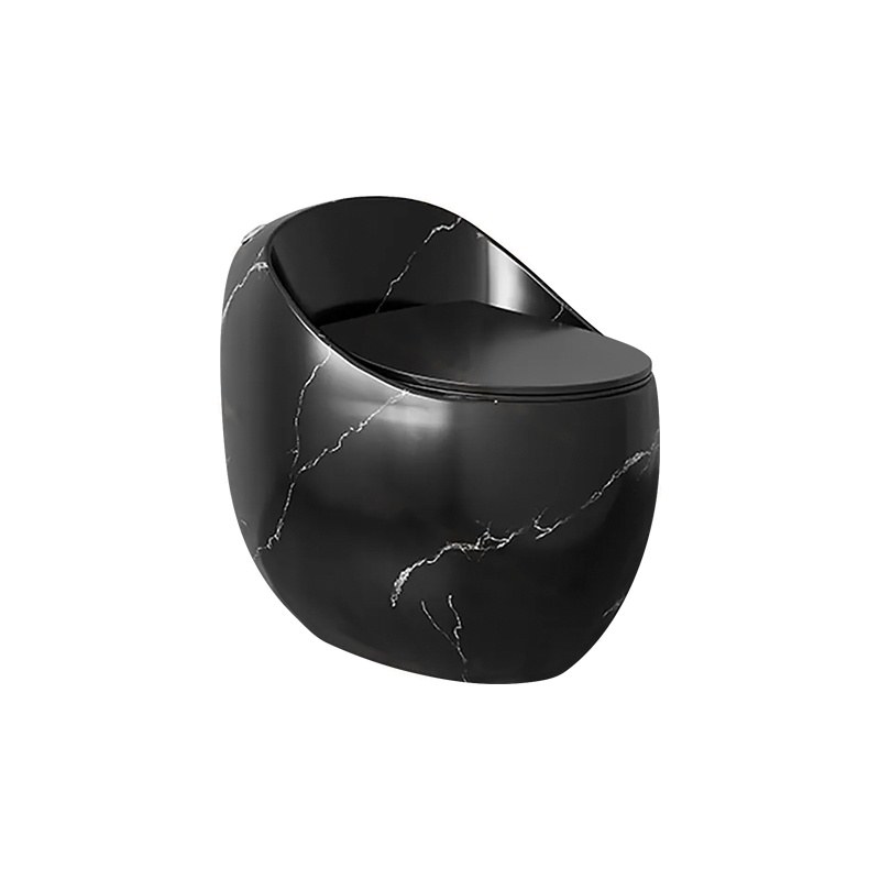 LT-1204-DP-BL1 black one-piece-toilets