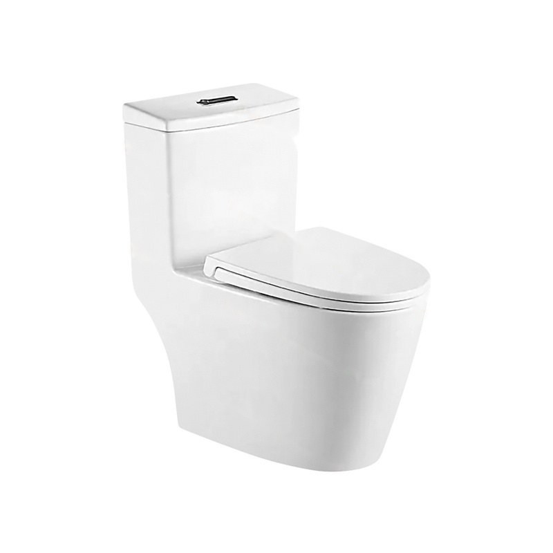LT-1170 white one-piece-toilets