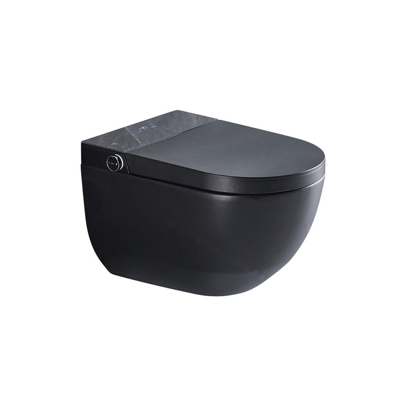 LT-TO-1059-C-BL black smart-toilets