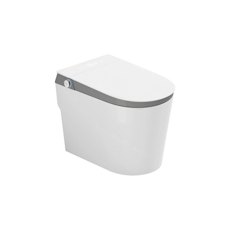 LT-TO-1031-WB-GR white smart-toilets