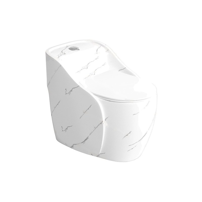 LT-1352-DP-W white one-piece-toilets