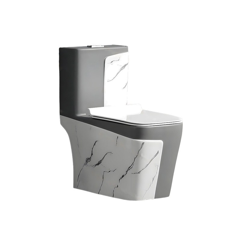 LT-1109-DP-WGR grey one-piece-toilets