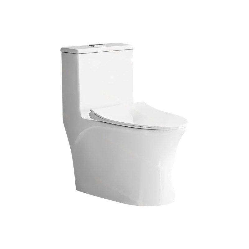 LT-1291 white one-piece-toilets