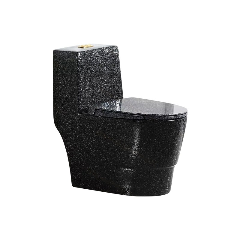 LT-1099-CDG-BL black one-piece-toilets