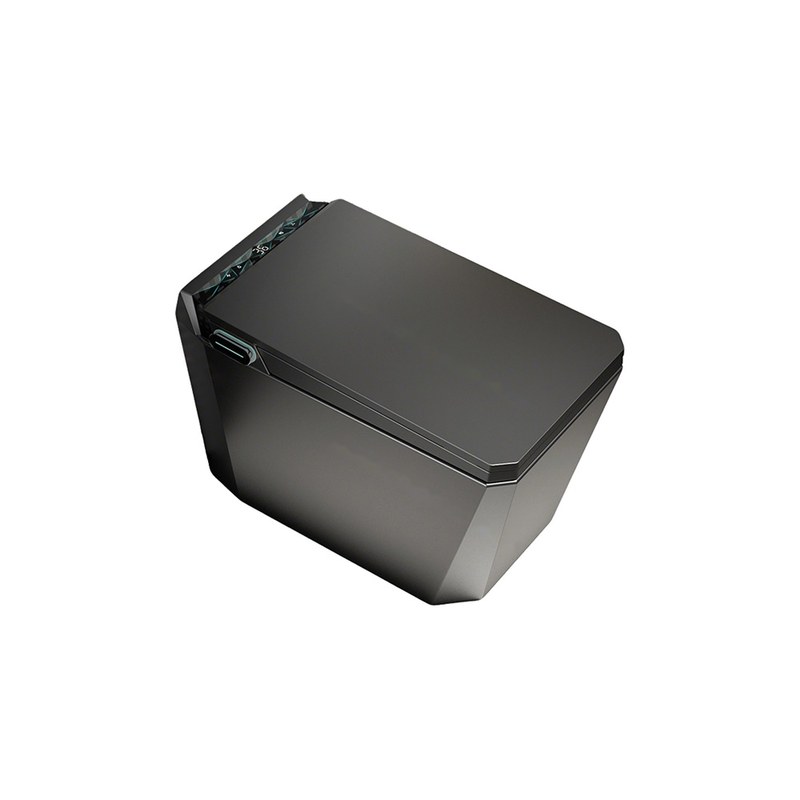 LT-TO-1120-WD-BL black smart-toilets