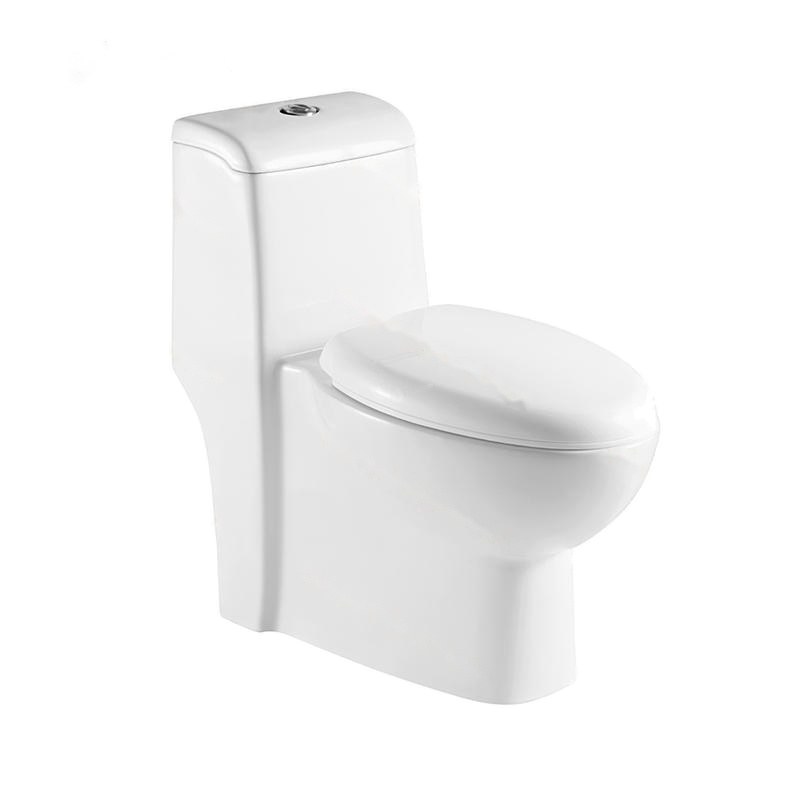 LT-1045 white one-piece-toilets