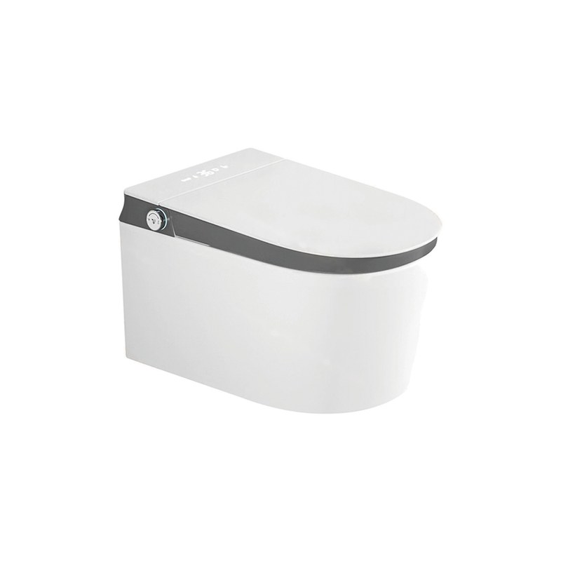 LT-TO-1027-WC-WDG white smart-toilets