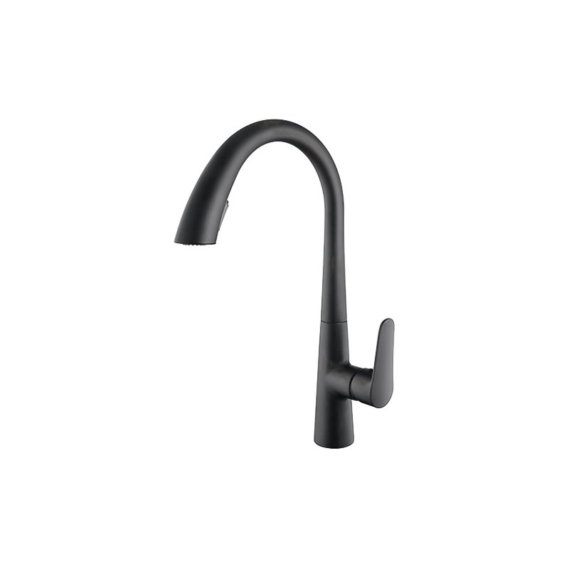 LT-10126-BRA-TCCLSSCLRLT kitchen faucet, kitchen mixer tap, sink faucet