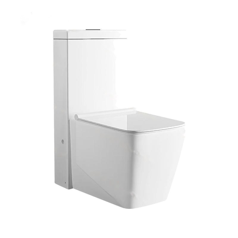 LT-1038 white one-piece-toilets
