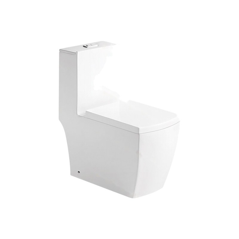 LT-1103A white one-piece-toilets