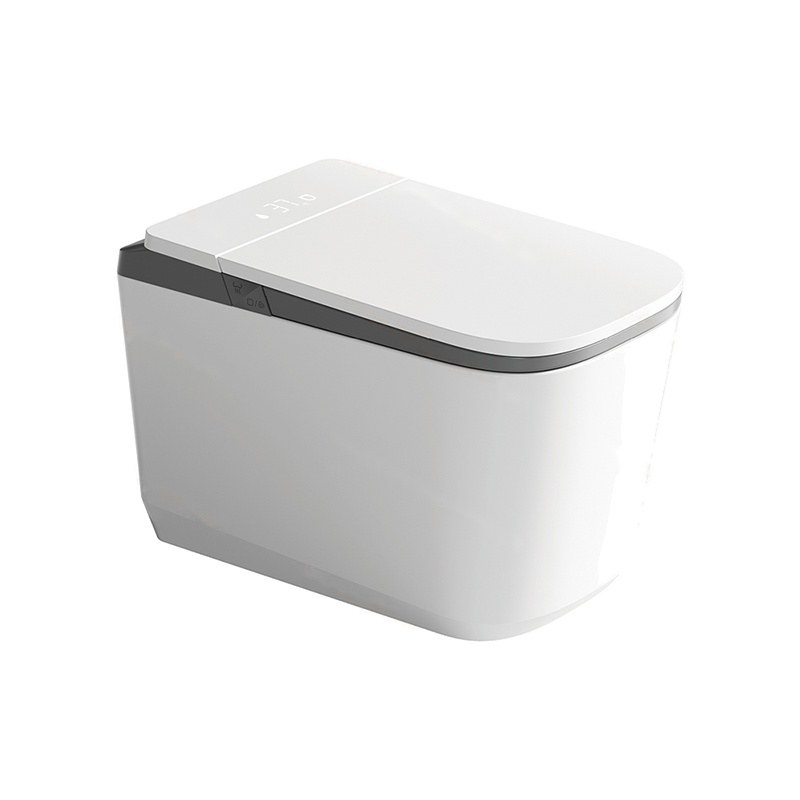 LT-TO-1135-WB-WG grey smart-toilets
