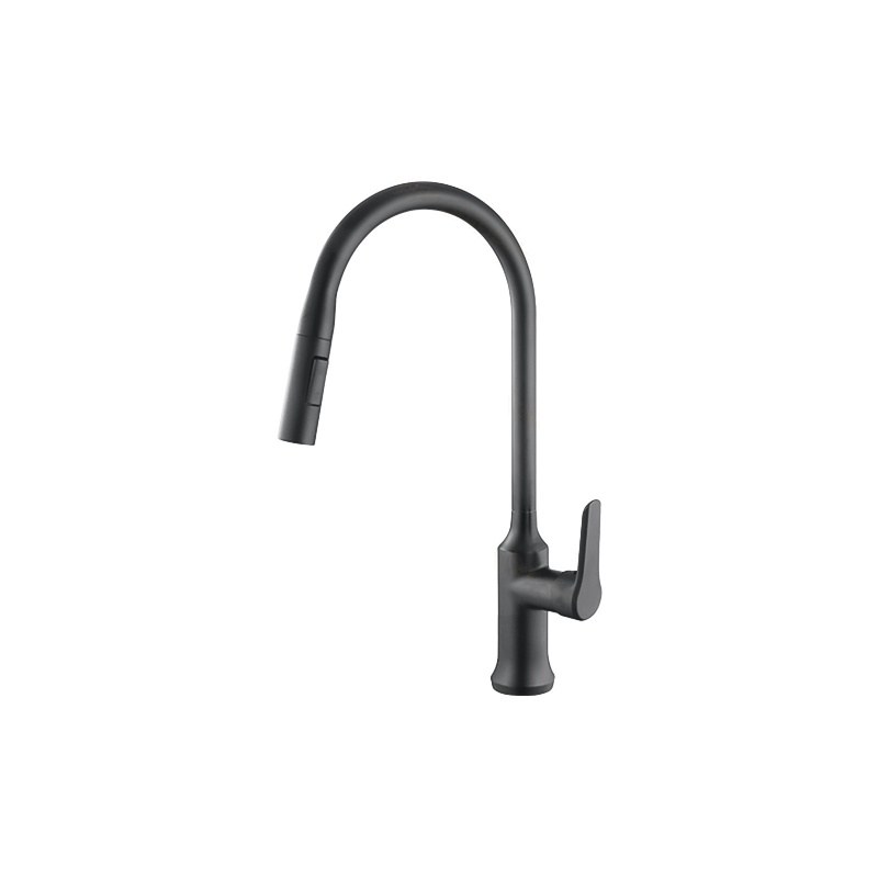 LT-10125-BRA-TCCLSSCLRLT kitchen faucet, kitchen mixer tap, sink faucet
