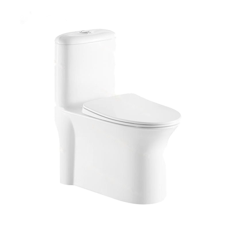 LT-1057 white one-piece-toilets