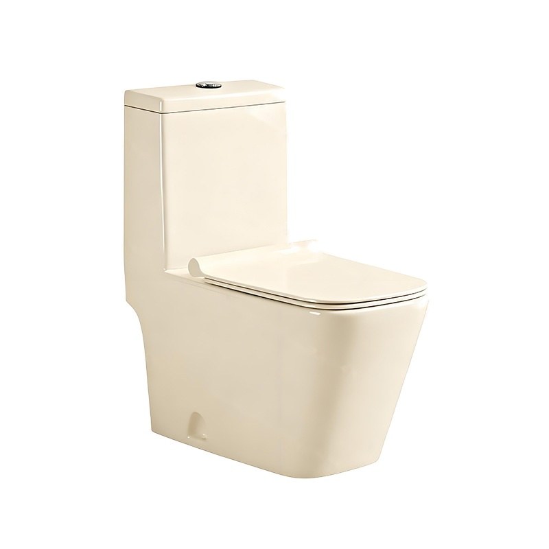 LT-1037-CG-IV white one-piece-toilets