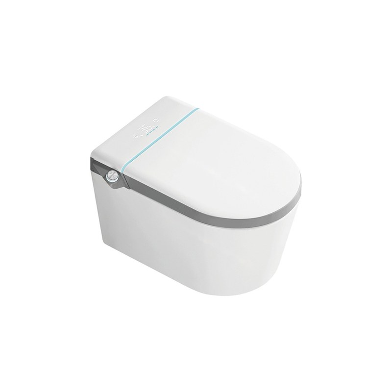 LT-TO-1093-WD-GR white smart-toilets