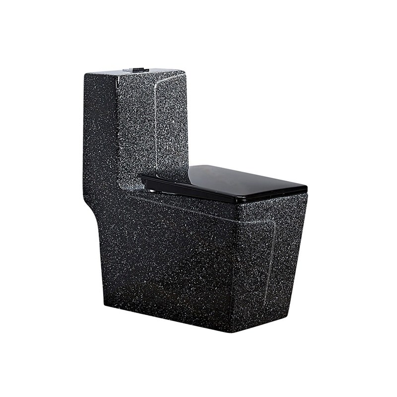 LT-1109-CDG-BL black one-piece-toilets