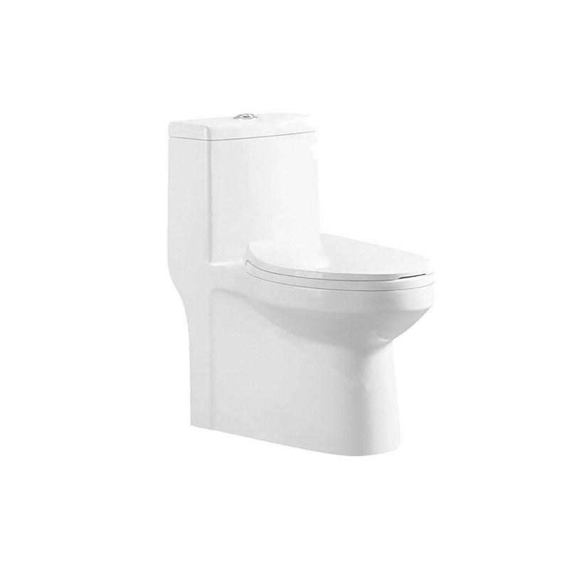 LT-1212 white one-piece-toilets