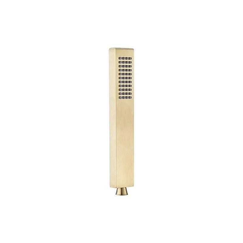 LT-10013-SS-SP hand shower, hand held shower head