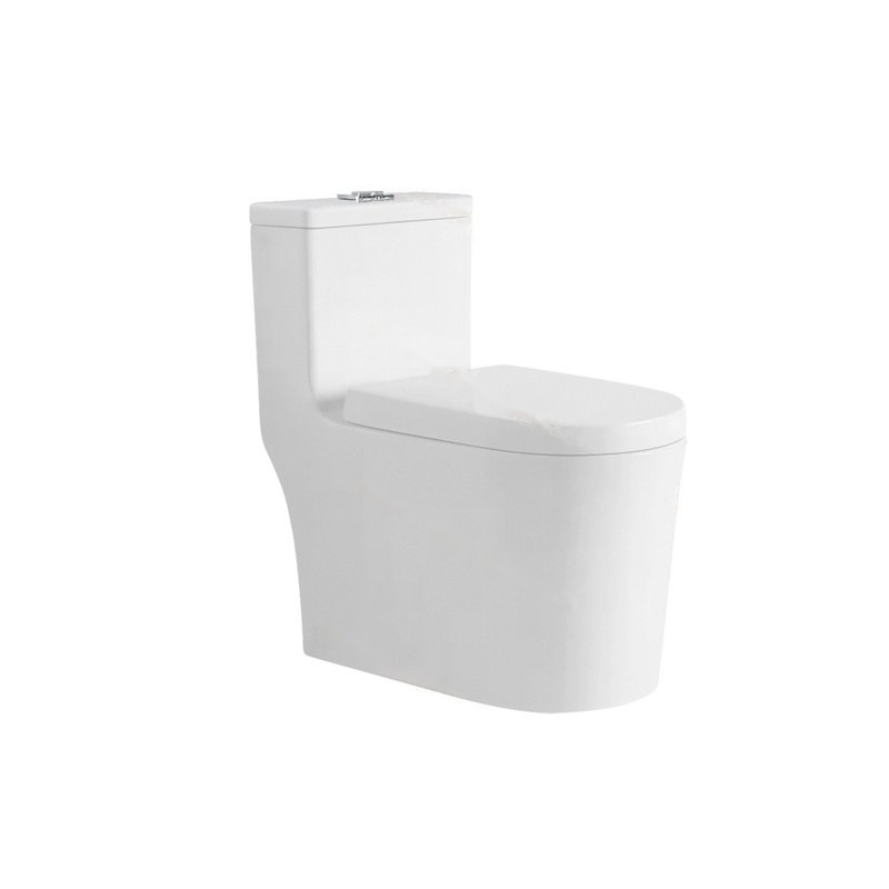 LT-1142 white one-piece-toilets