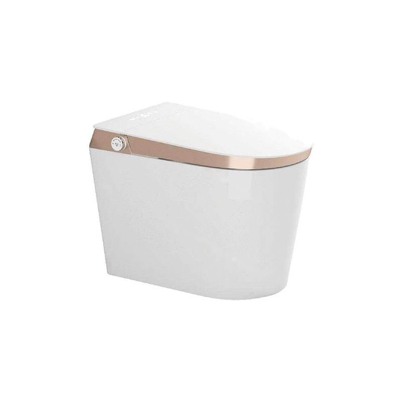 LT-TO-1031-WC-GO white smart-toilets