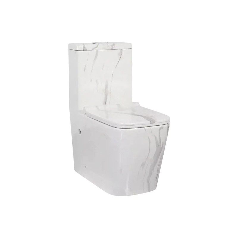 LT-1003-DP-CT2 white one-piece-toilets