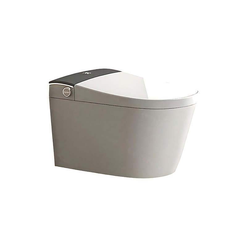 LT-TO-1111-WB patterned smart-toilets