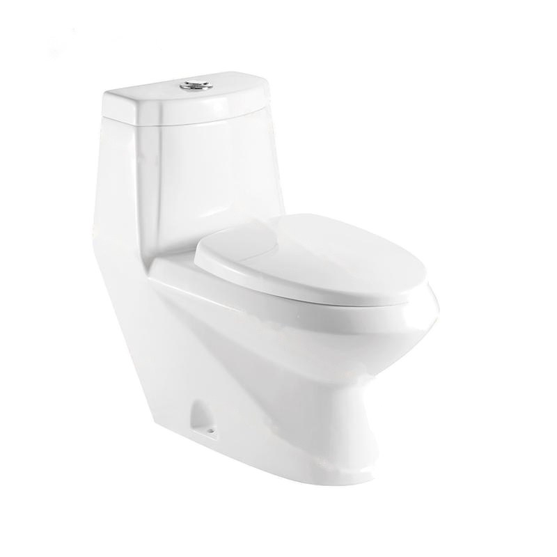 LT-1017 white one-piece-toilets