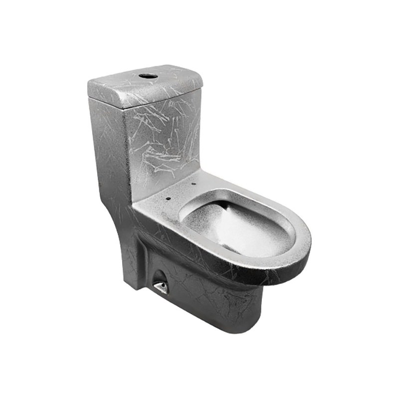 LT-1085-RG-SG2 grey one-piece-toilets