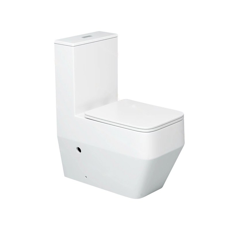 LT-1310 white one-piece-toilets