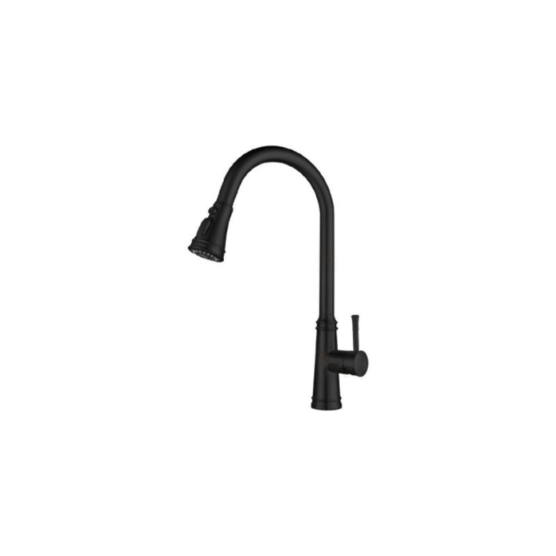 LT-10047-SS-TCCLSSCLRLT kitchen faucet, kitchen mixer tap, sink faucet