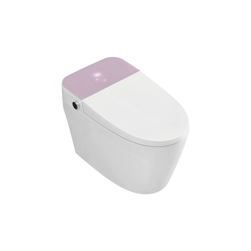 LT-TO-1019-B-P white smart-toilets