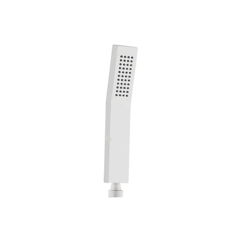 LT-10019-SS-SP hand shower, hand held shower head
