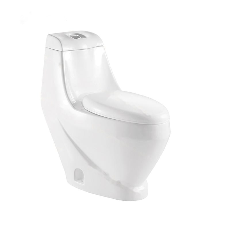LT-1014 white one-piece-toilets