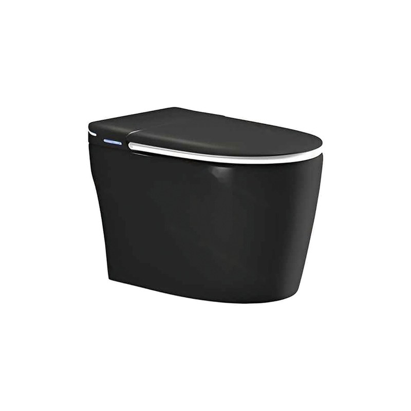 LT-TO-1110-WD-BL black smart-toilets