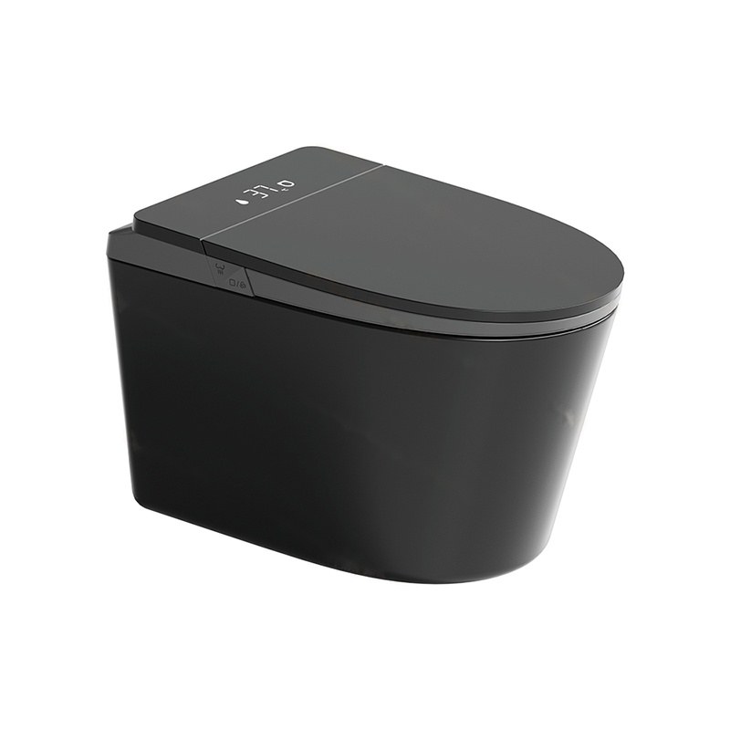 LT-TO-1137-WC-BLG black smart-toilets