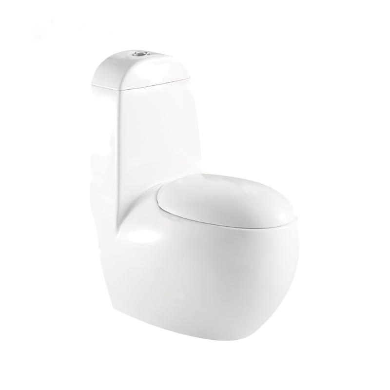 LT-1011 white one-piece-toilets