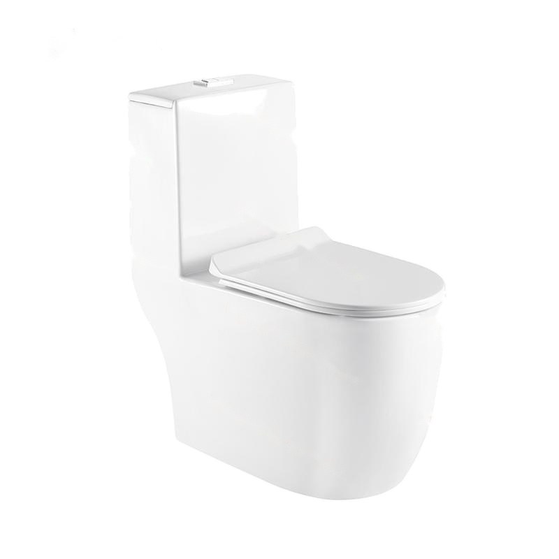 LT-1115 white one-piece-toilets