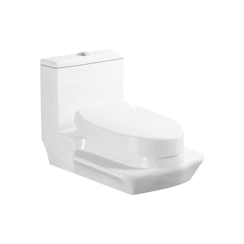 LT-1255 white one-piece-toilets