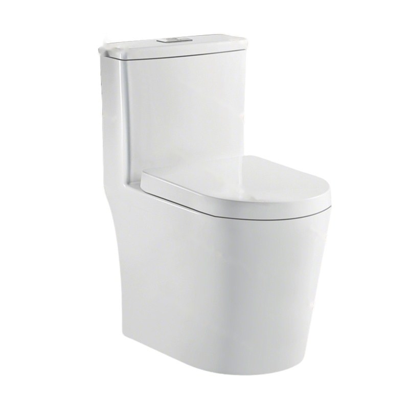 LT-1317 white one-piece-toilets