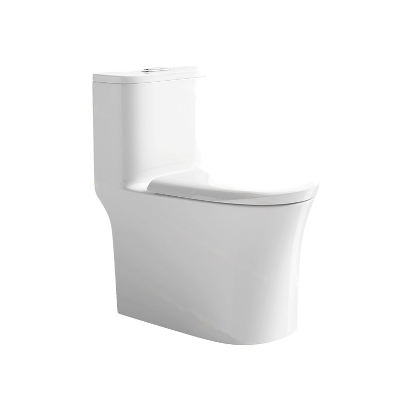 LT-1246 white one-piece-toilets