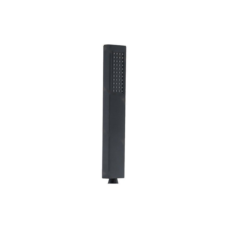 LT-10011-SS-SP hand shower, hand held shower head
