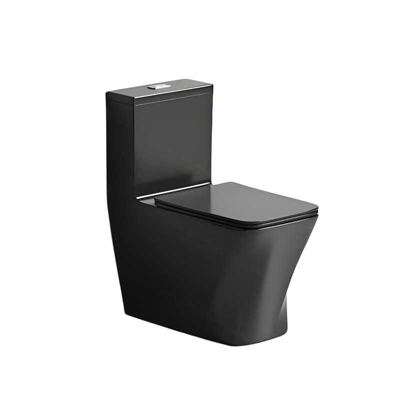 LT-1322-CG-BL black one-piece-toilets
