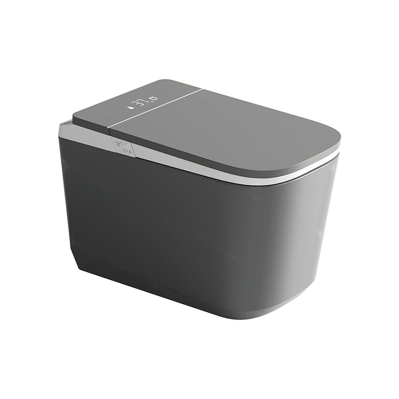 LT-TO-1135-WA-GW black smart-toilets